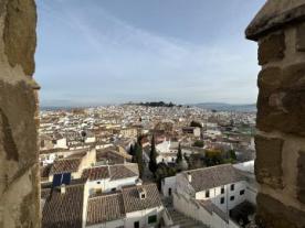 Mirador Almenillas