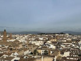 Mirador Michael Hoskin