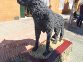 Lobo (Ruta rafael Diaz)
