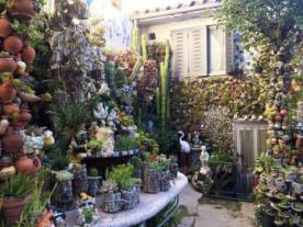 EL Patio de los Cactus