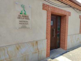 El Árbol de la Vida: Fisioterapia y Psicología