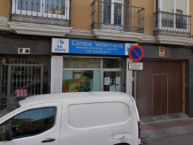 Teseo Veterinarios